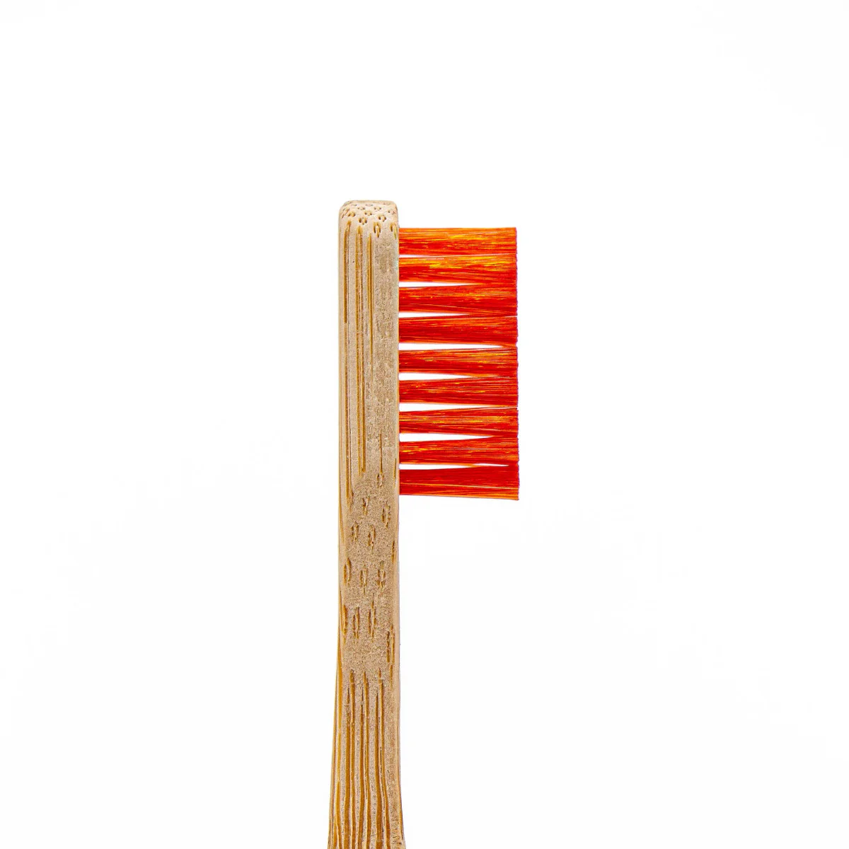 Angelus Detail Cleaning Brush Set - Image 4